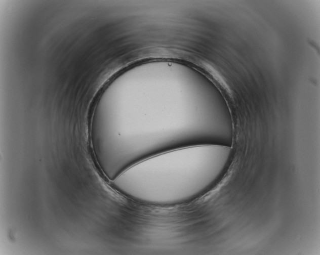 X0000098200837200804241037
