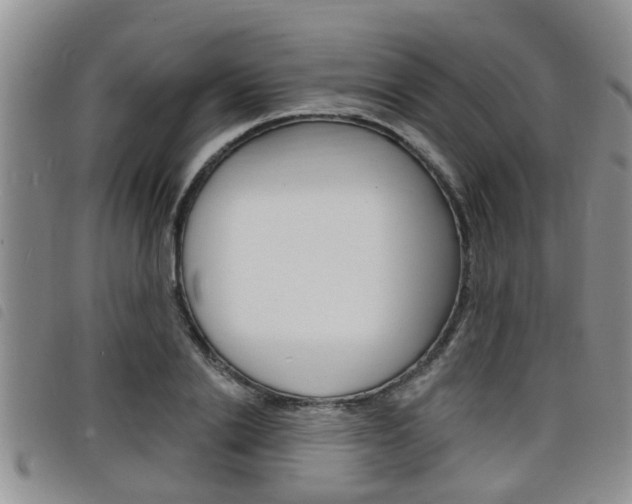 X0000098200838200804241037