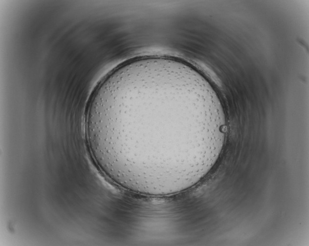 X0000098200839200804241037