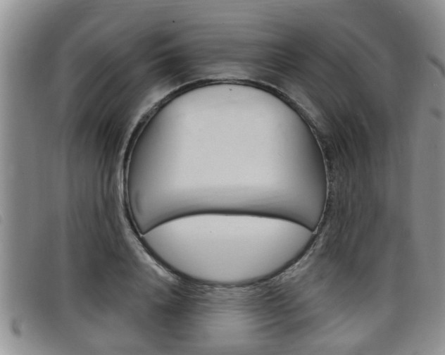 X0000098200840200804241037