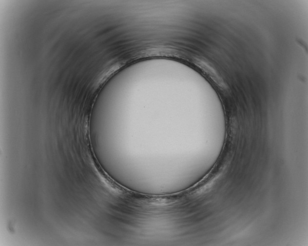 X0000098200841200804241037