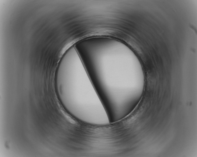 X0000098200842200804241037
