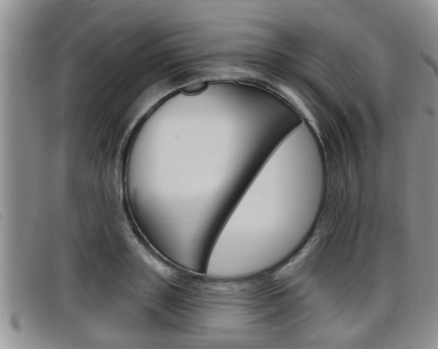 X0000098200843200804241037