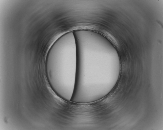 X0000098200844200804241037