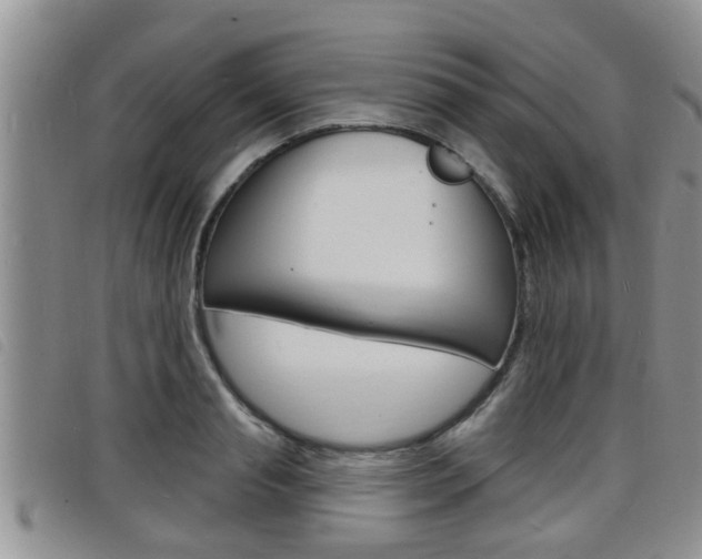 X0000098200845200804241037