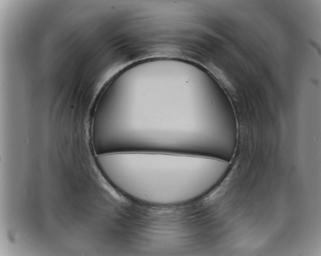 X0000098200846200804241037
