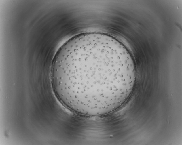 X0000098200847200804241037