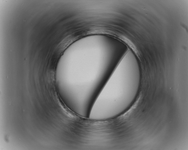 X0000098200849200804241037