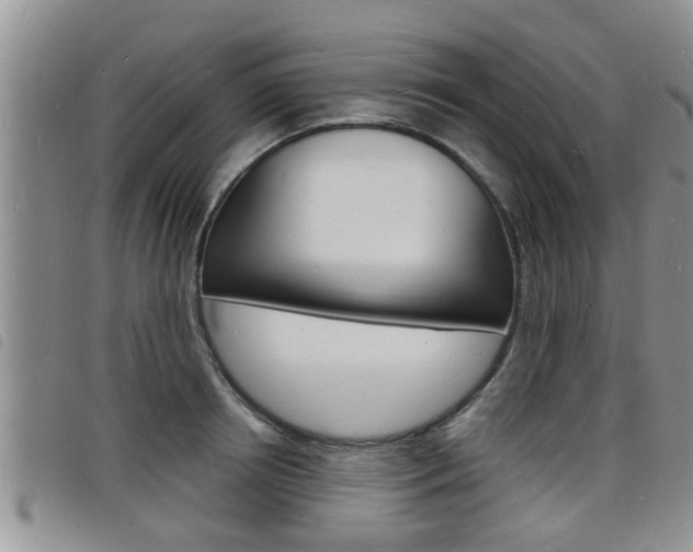 X0000098200850200804241037