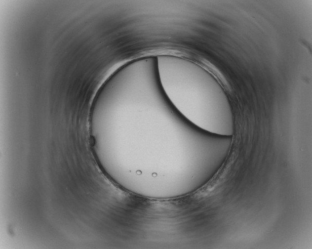 X0000098200852200804241037