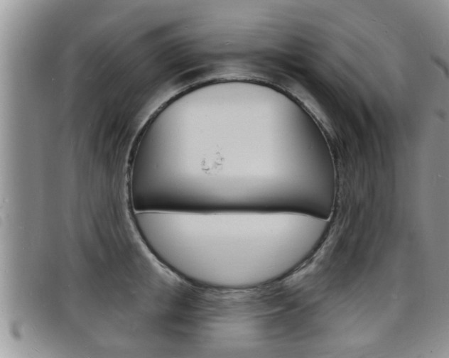 X0000098200853200804241037