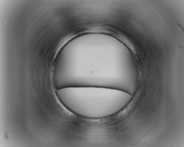X0000098200855200804241037