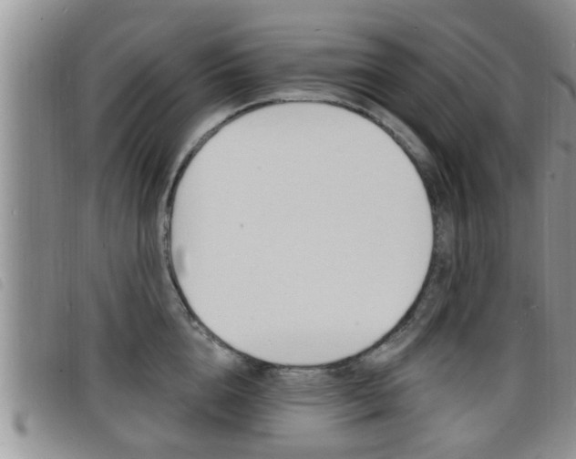 X0000098200856200804241037