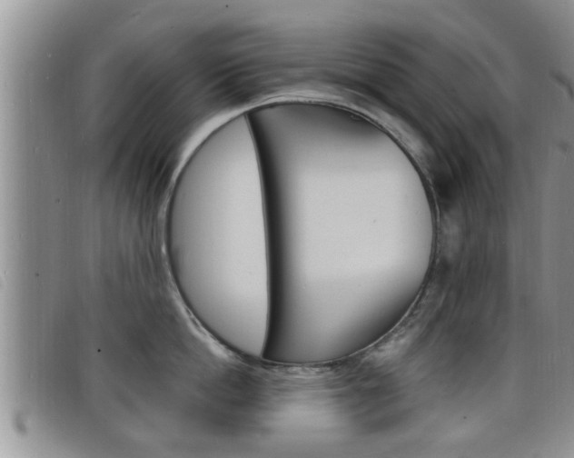 X0000098200862200804241037