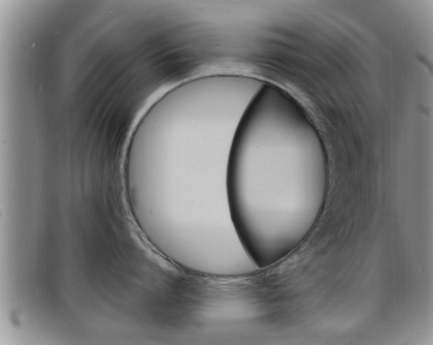 X0000098200864200804241037