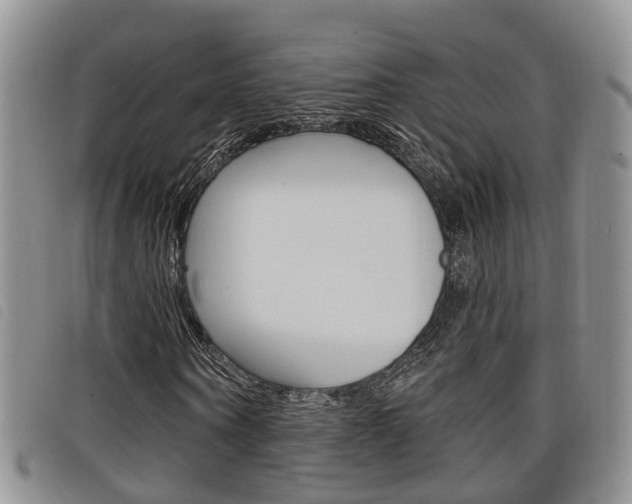X0000098200866200804241036