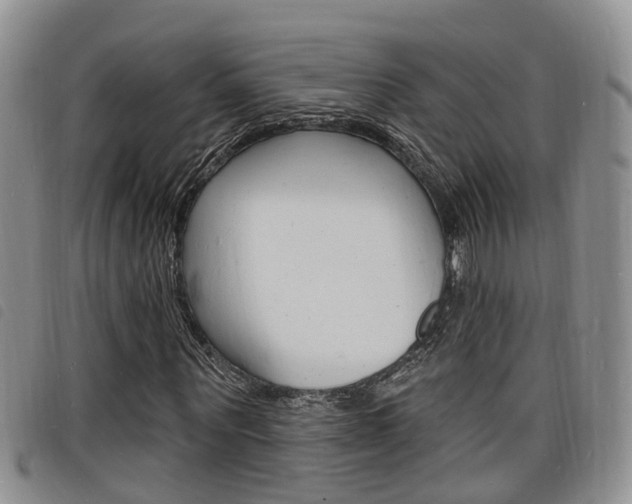 X0000098200867200804241036
