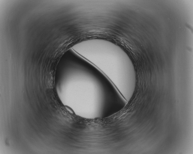 X0000098200868200804241036