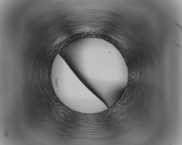 X0000098200869200804241036