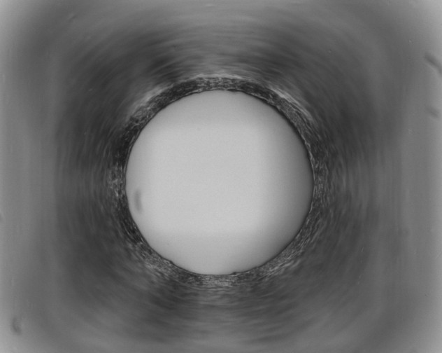 X0000098200870200804241036