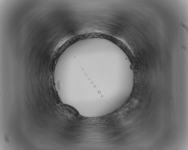 X0000098200871200804241036