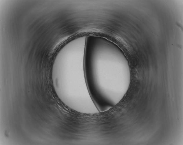 X0000098200872200804241036