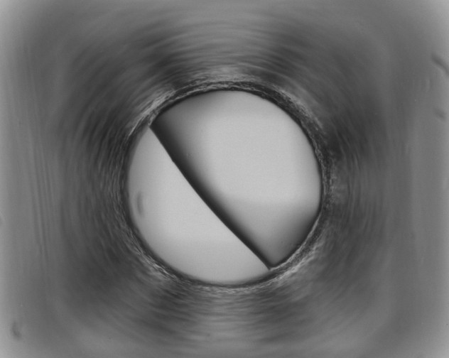 X0000098200873200804241036