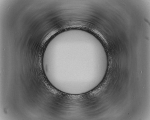 X0000098200874200804241036