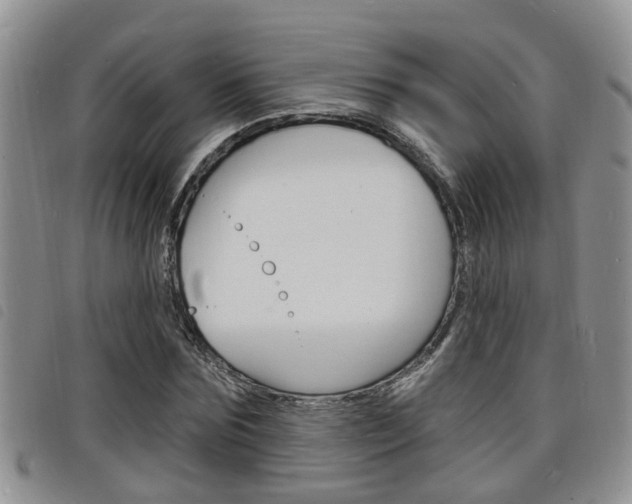 X0000098200875200804241036