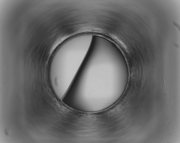 X0000098200877200804241036