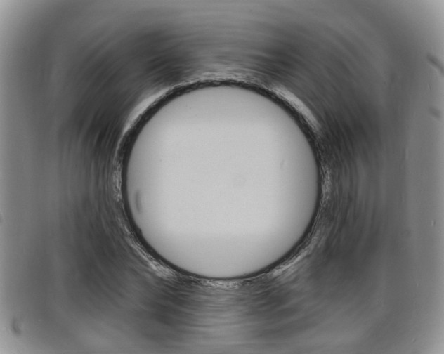 X0000098200878200804241036