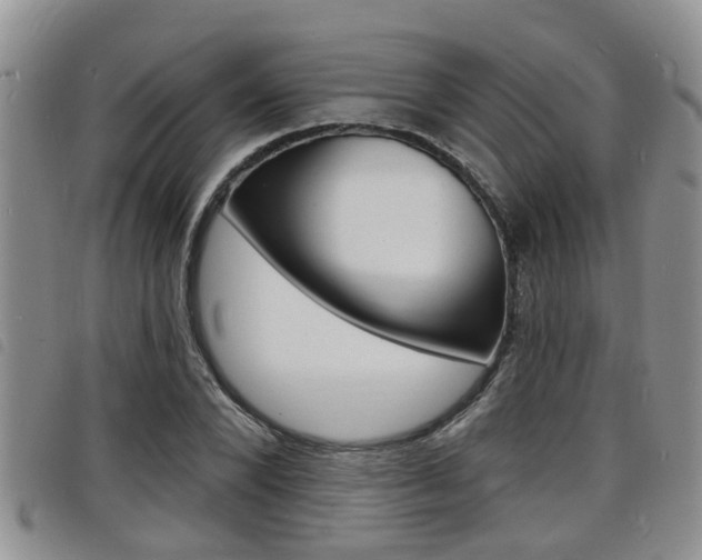 X0000098200880200804241036