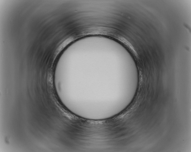 X0000098200882200804241036