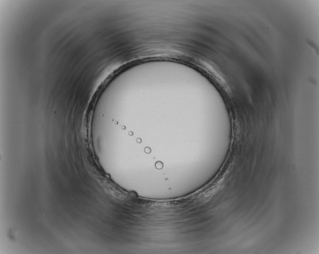 X0000098200883200804241036