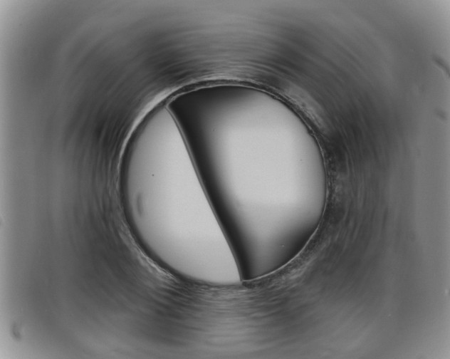 X0000098200884200804241036
