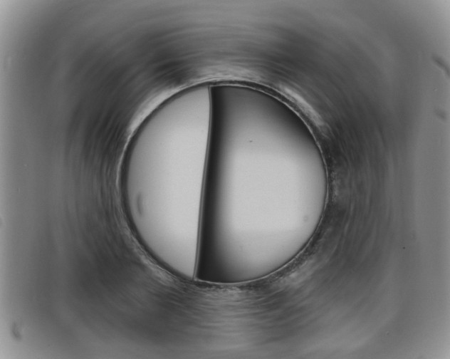 X0000098200885200804241036