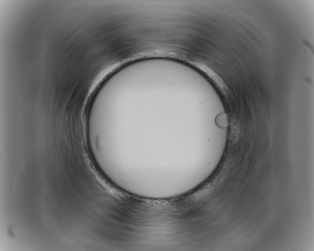 X0000098200886200804241036