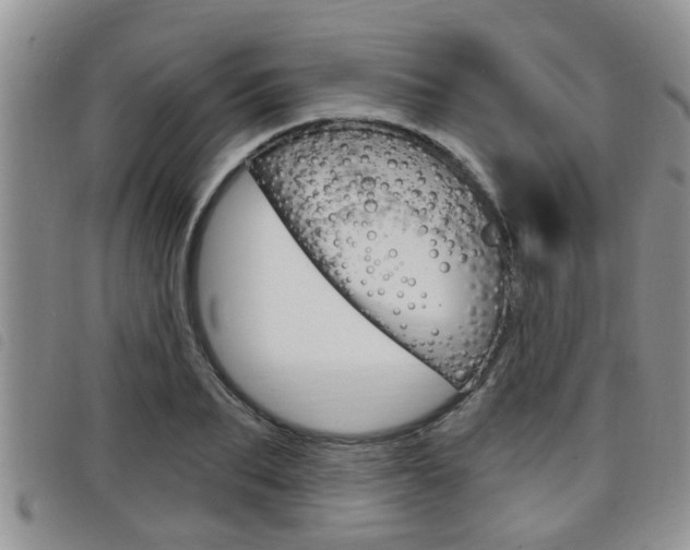 X0000098200887200804241036