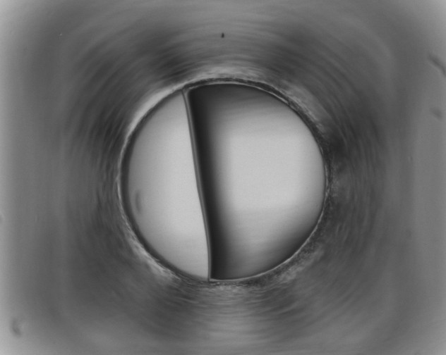 X0000098200888200804241036