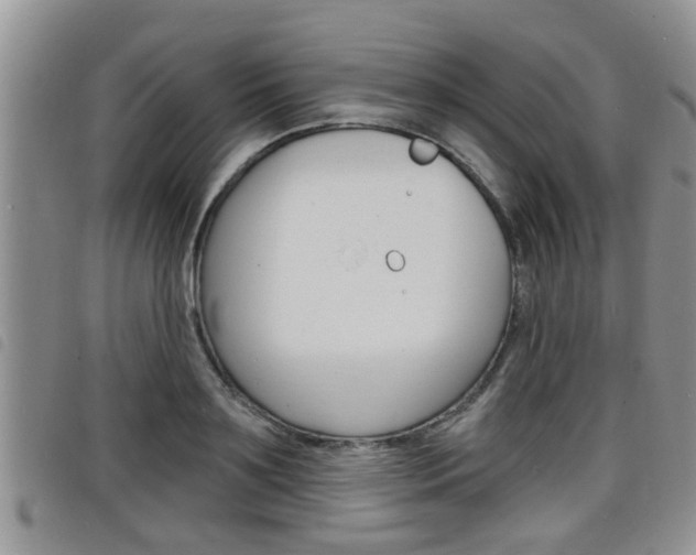 X0000098200891200804241036