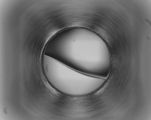 X0000098200892200804241036