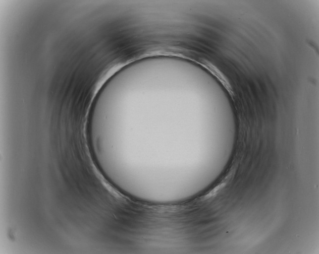 X0000098200893200804241036