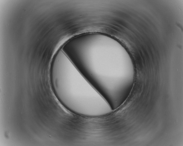 X0000098200894200804241036