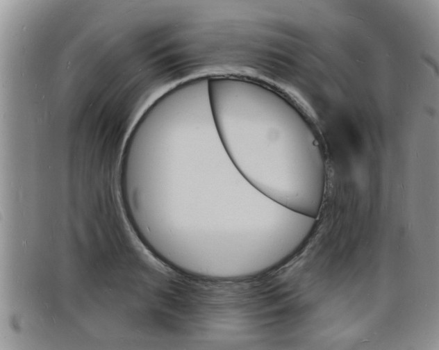 X0000098200895200804241036
