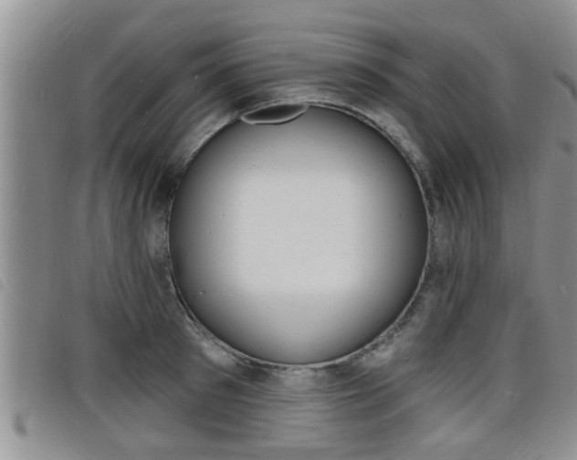 X0000098200897200804241036