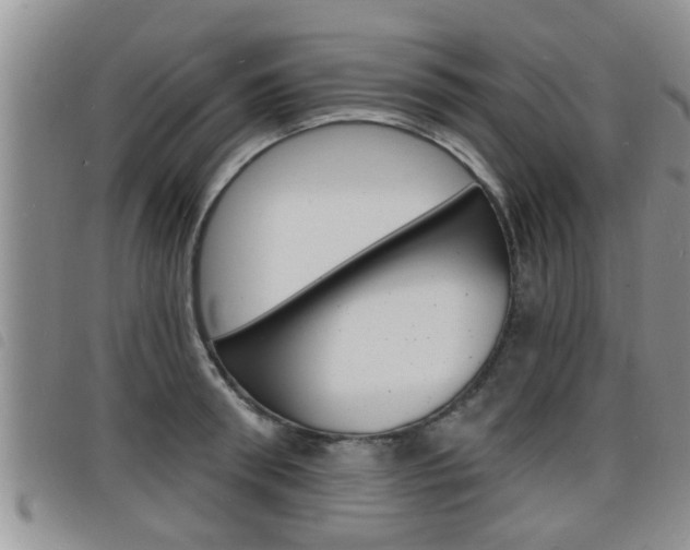 X0000098200898200804241036