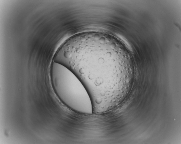 X0000098200899200804241036