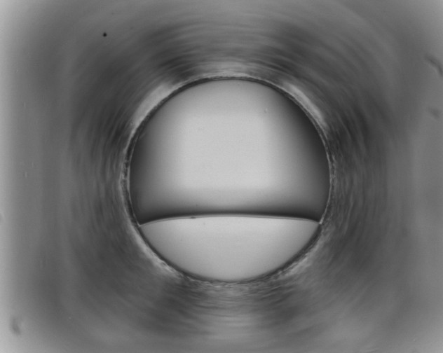 X0000098200901200804241036