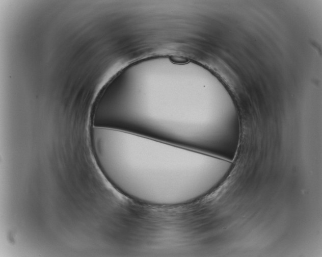 X0000098200902200804241036
