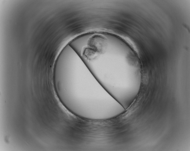 X0000098200903200804241036